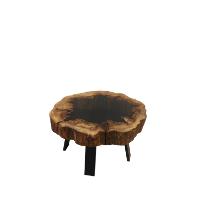 Stolik z pnia Root